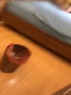 巜美国禁忌性轻佻寡妇3-久久99国产精一区二区三区-成人AV