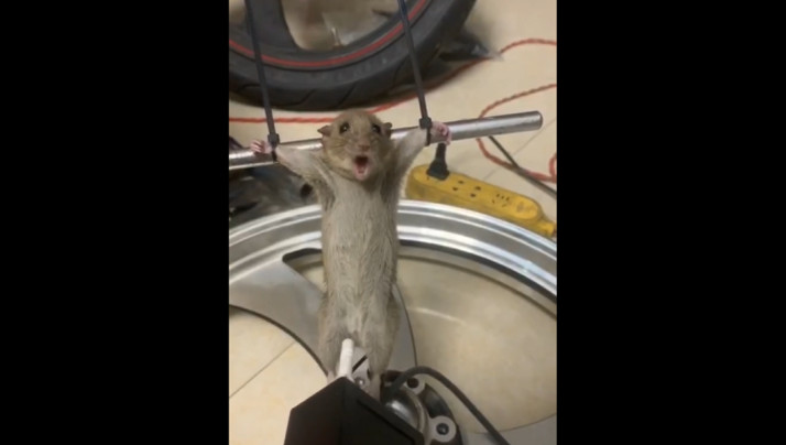 少妇被按摩-国产一区99-成人AV