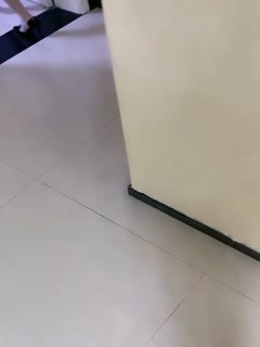 亚洲高清无码在线观看视频-精品国精品自拍自在线-成人AV