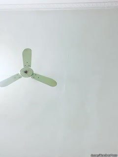 嫩草亚洲乱伦视频-99久久久久久99国产精品免-成人AV